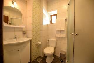 Гостевой дом Vila Calimanel Ватра-Дорней Двухместный номер с 1 кроватью и собственной ванной комнатой-4
